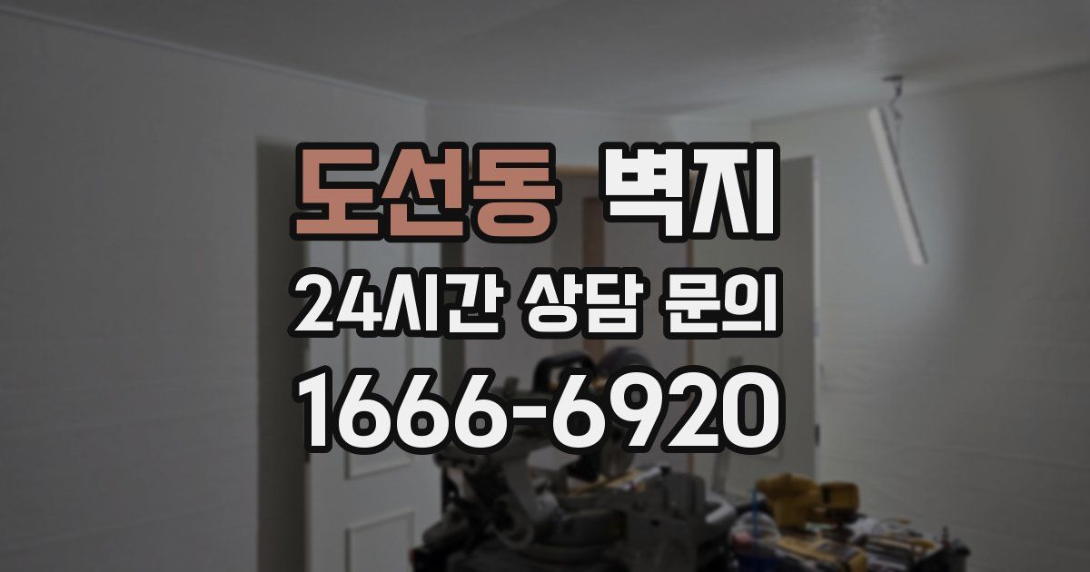 도선동 벽지
