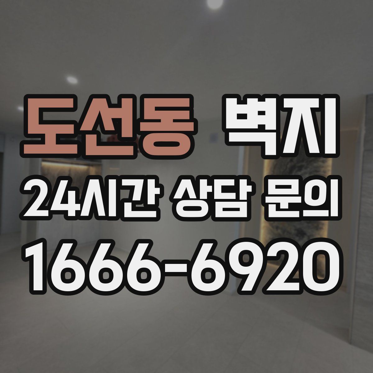 도선동 벽지