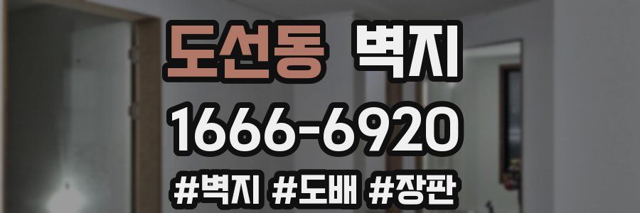 도선동 벽지