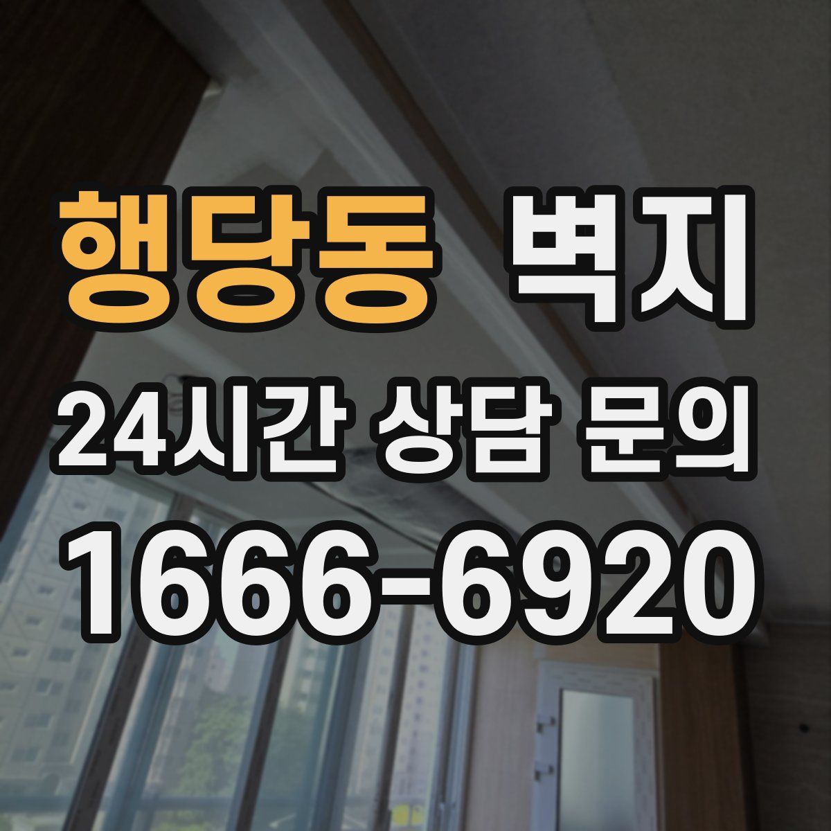 행당동 벽지