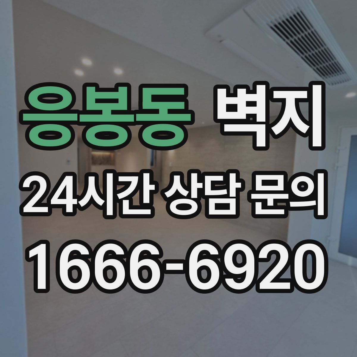 응봉동 벽지