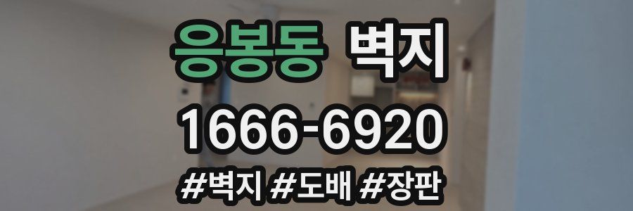 응봉동 벽지