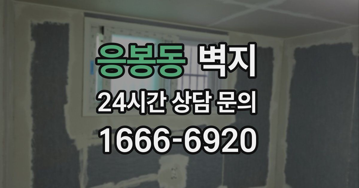 응봉동 벽지