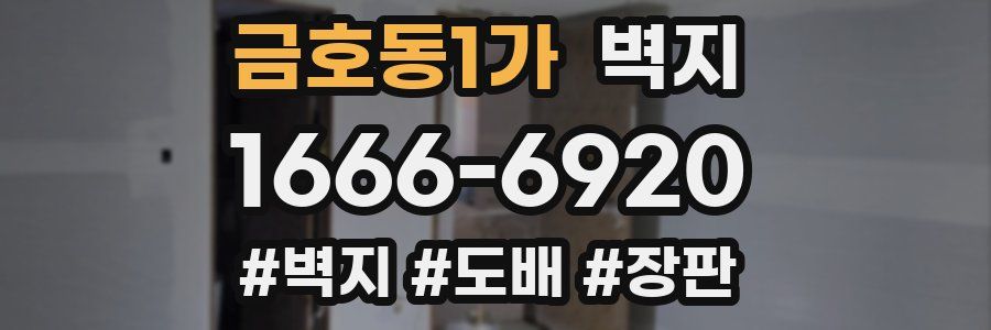 금호동1가 벽지
