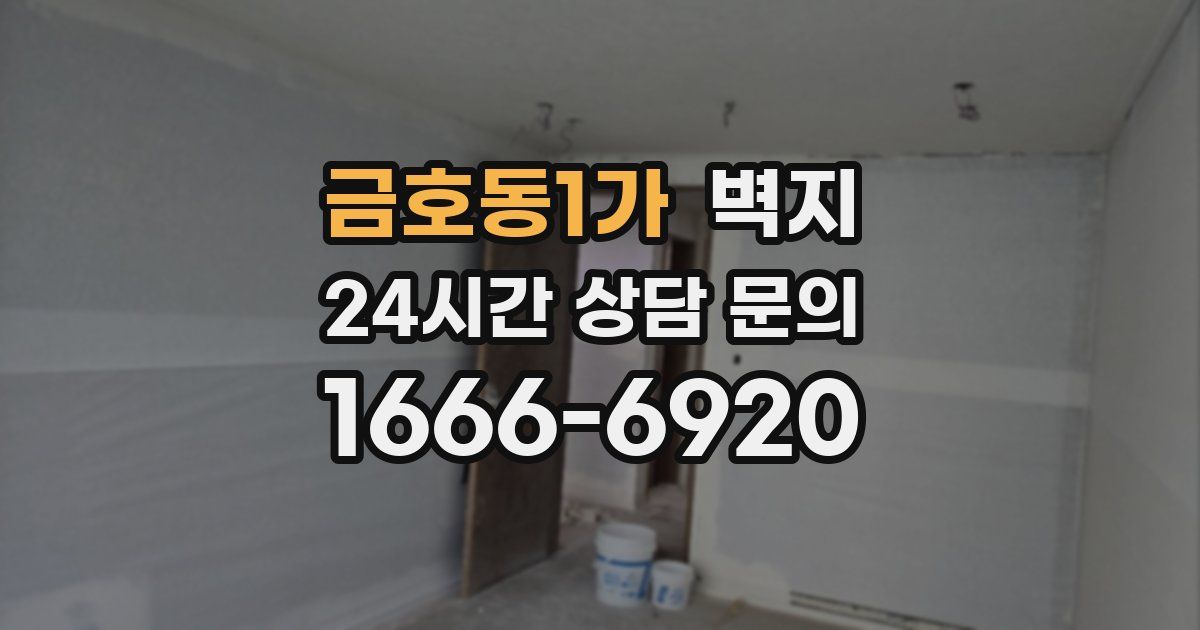 금호동1가 벽지