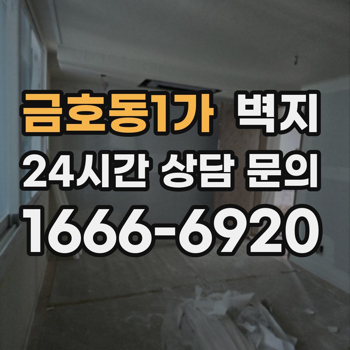 금호동1가 벽지