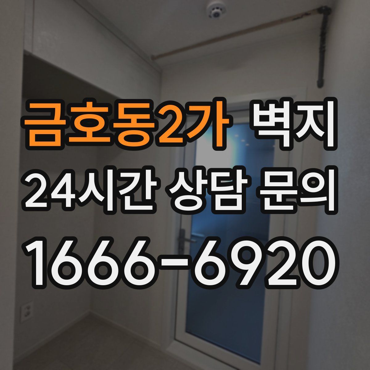 금호동2가 벽지