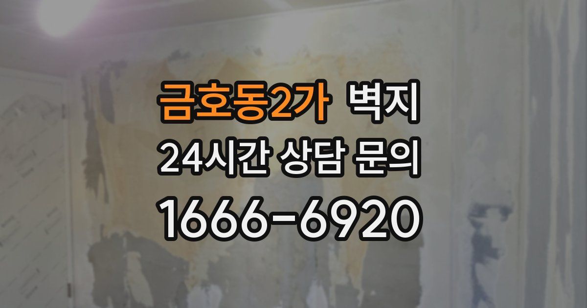 금호동2가 벽지