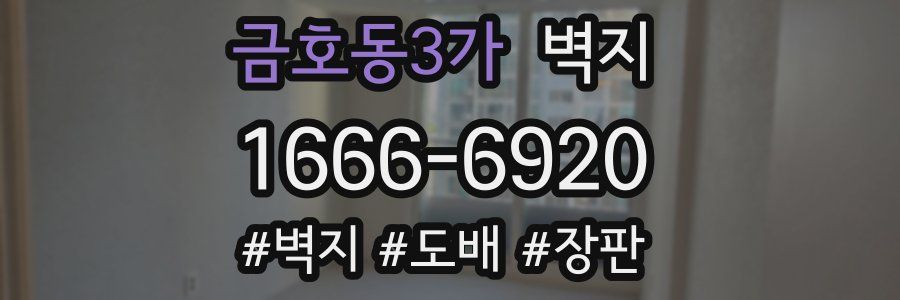 금호동3가 벽지