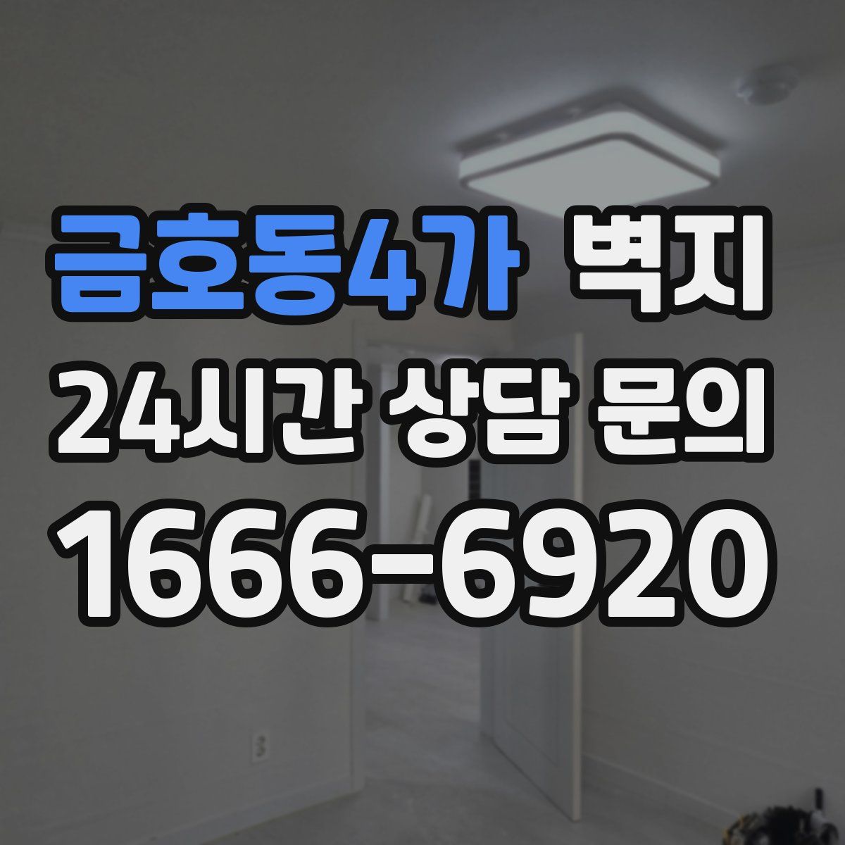 금호동4가 벽지