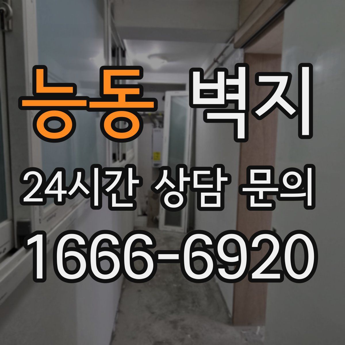 능동 벽지