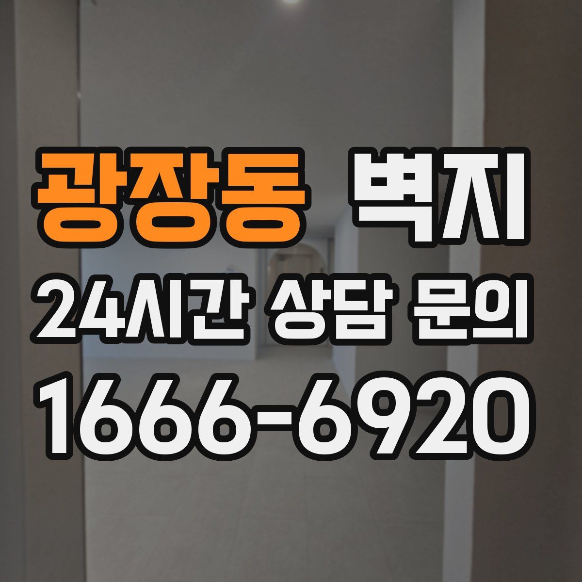 광장동 벽지