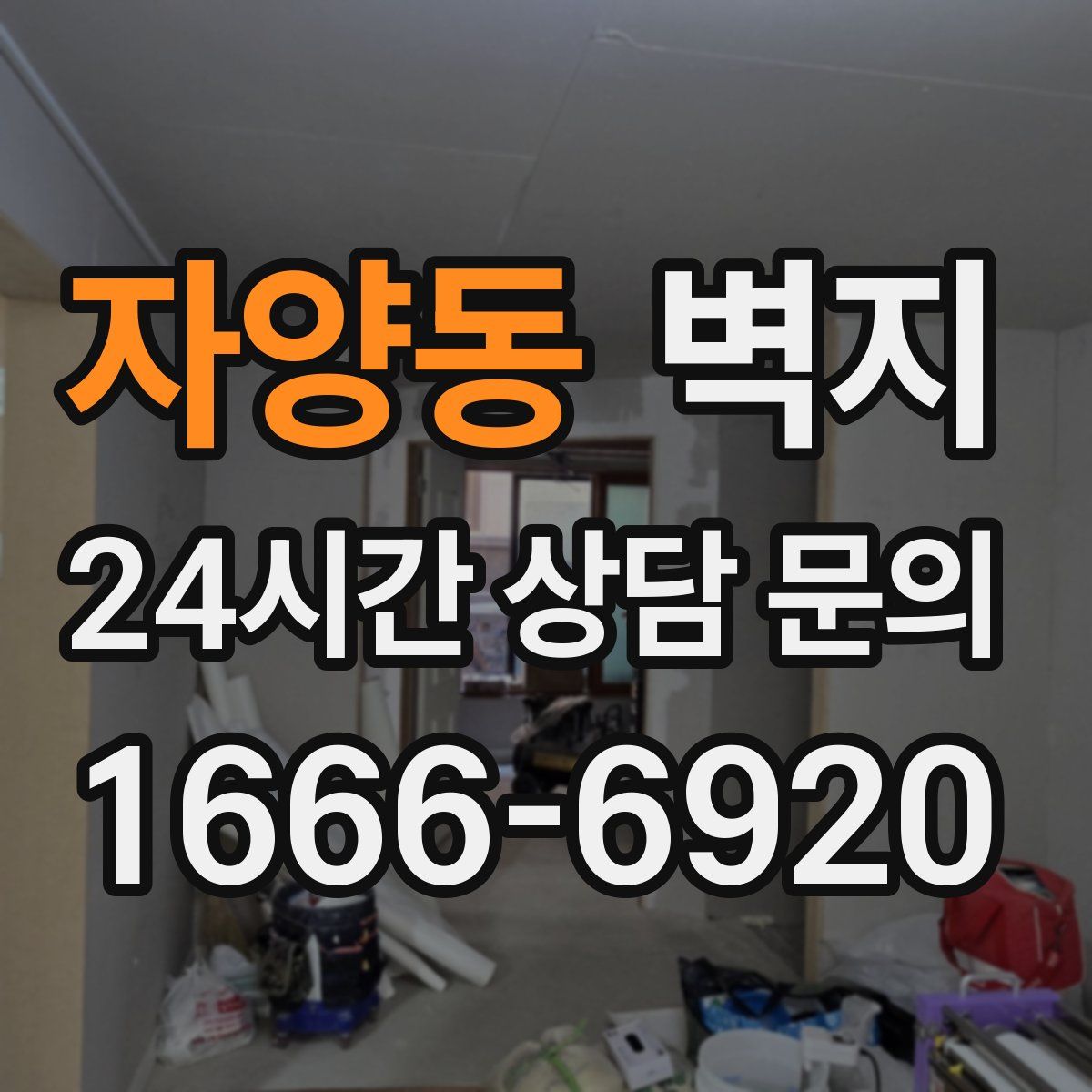 자양동 벽지