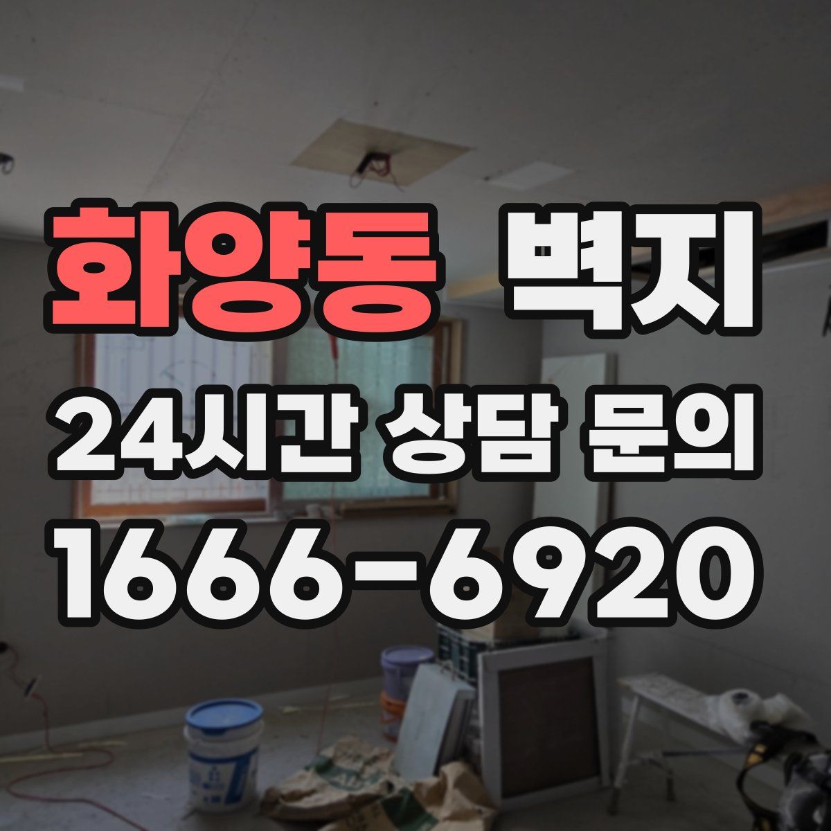 화양동 벽지