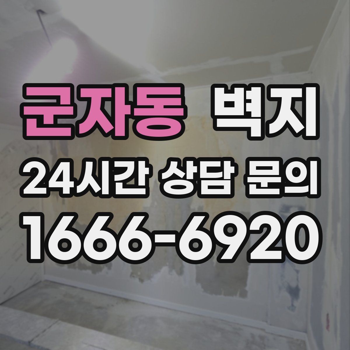 군자동 벽지