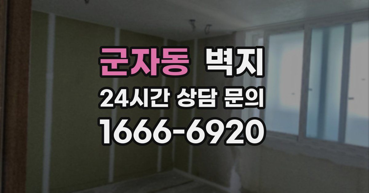 군자동 벽지