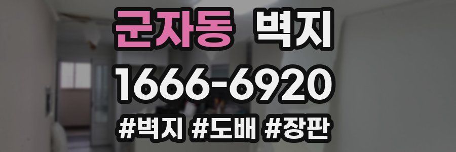 군자동 벽지