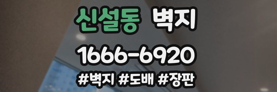신설동 벽지