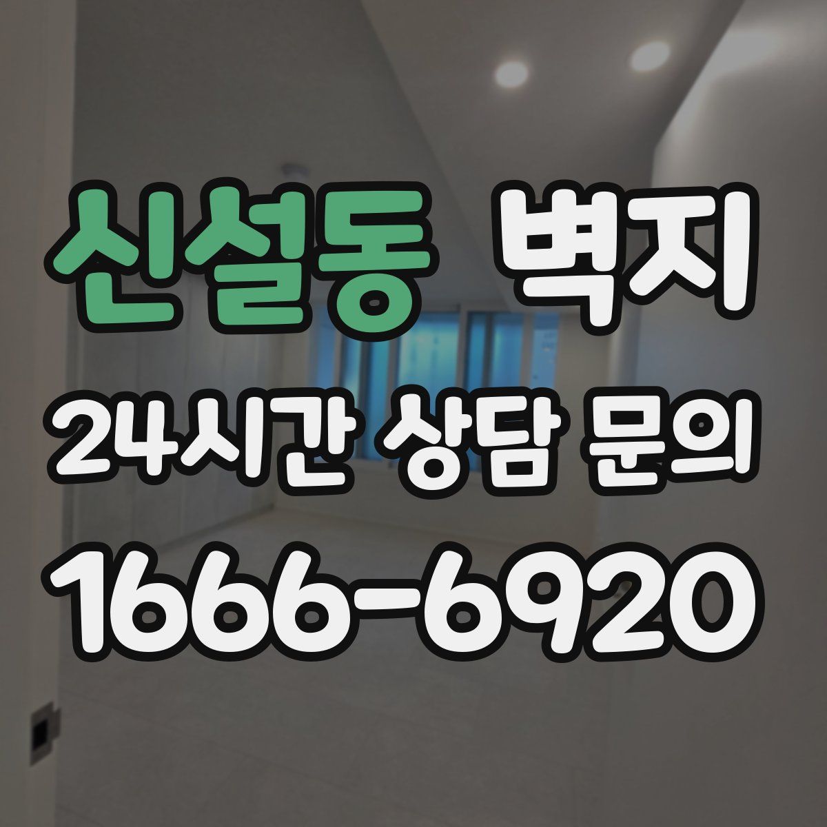 신설동 벽지