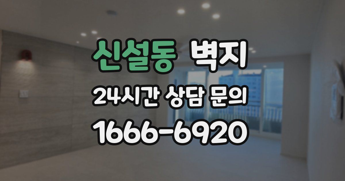 신설동 벽지