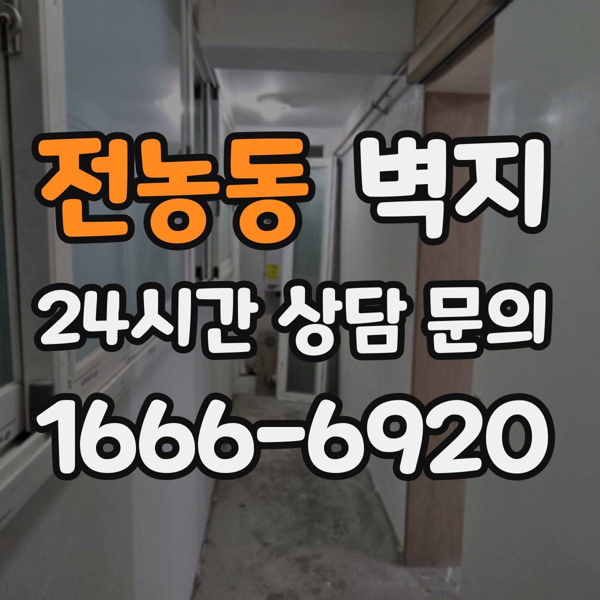 전농동 벽지
