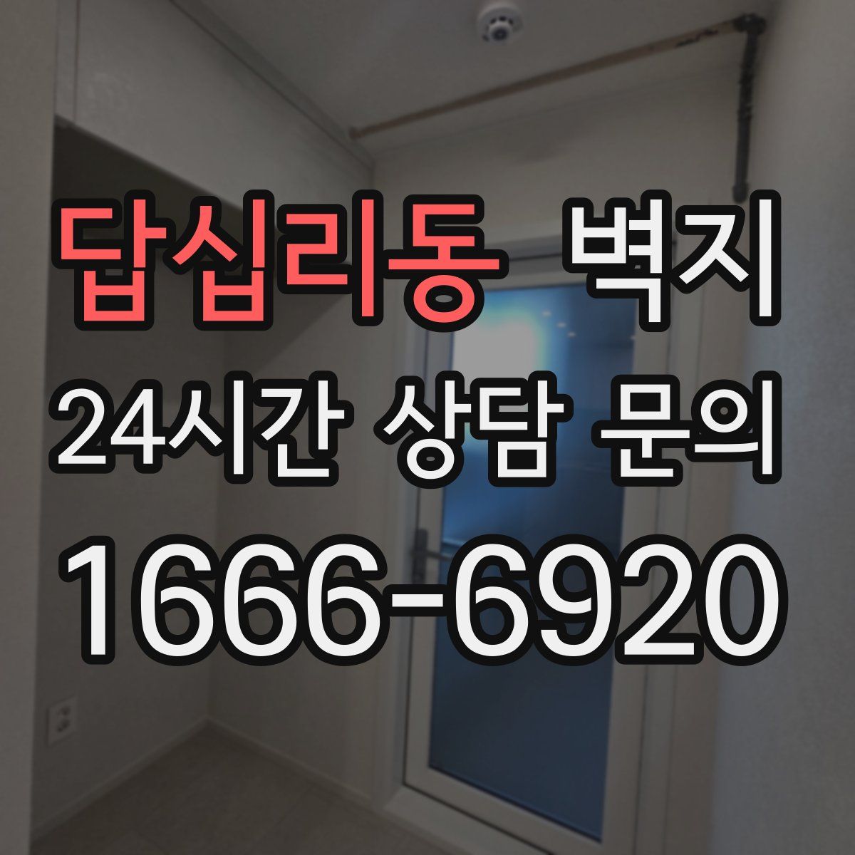 답십리동 벽지