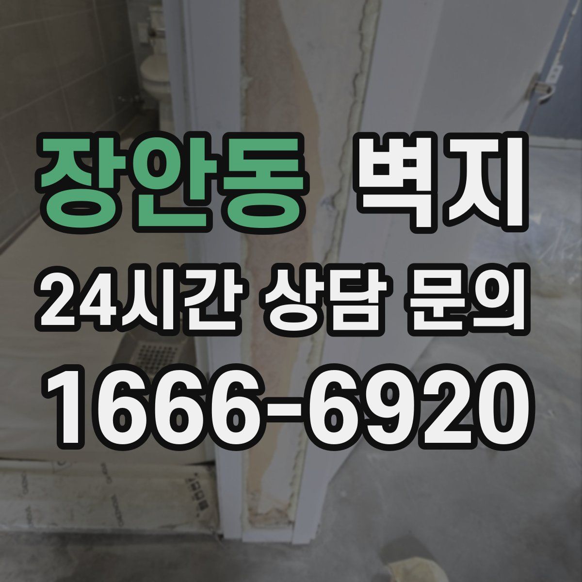 장안동 벽지