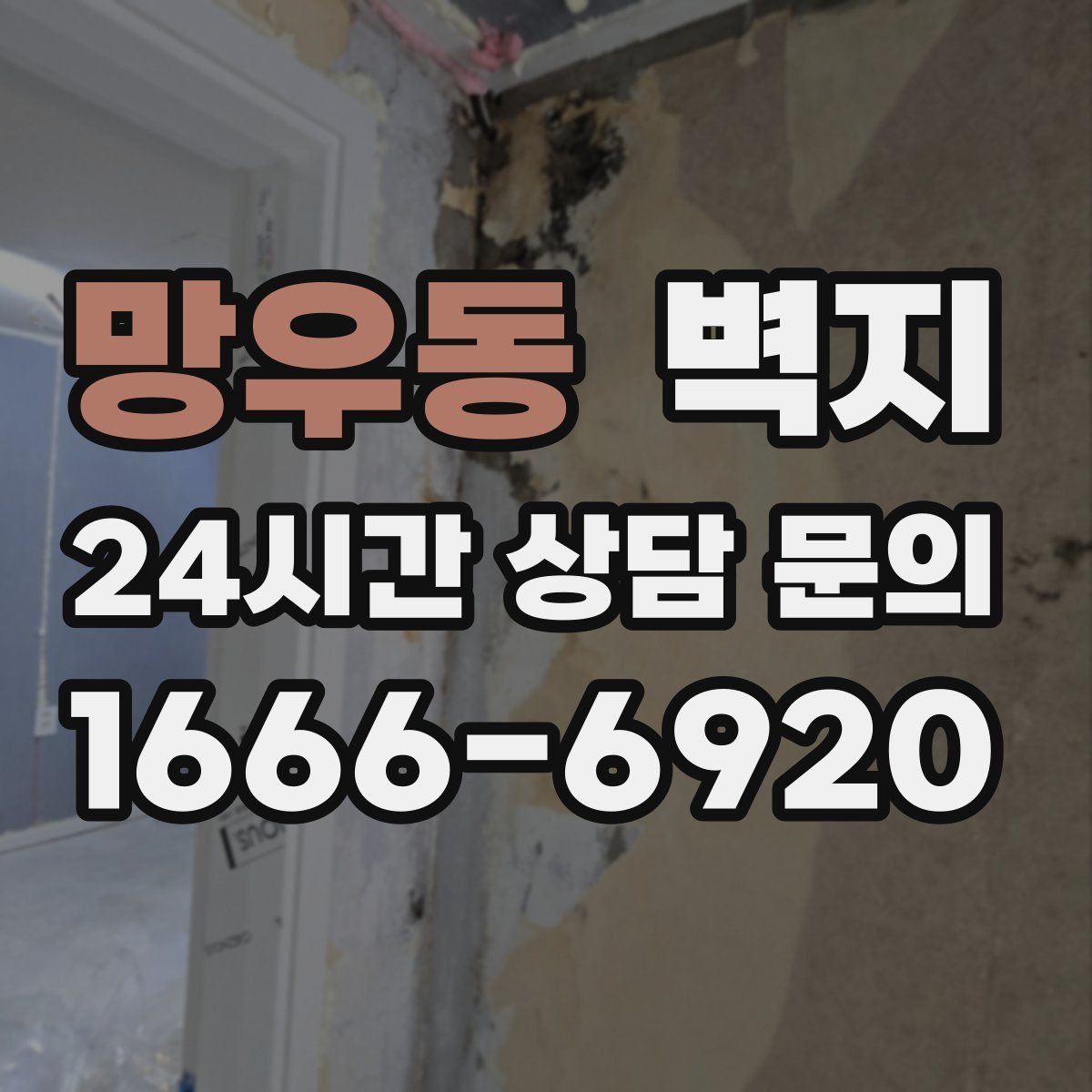 망우동 벽지