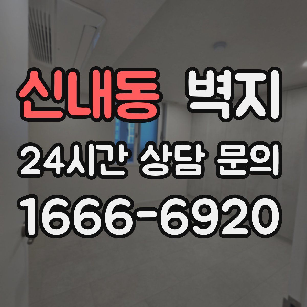 신내동 벽지