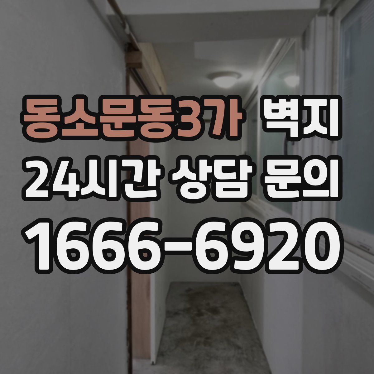 동소문동3가 벽지