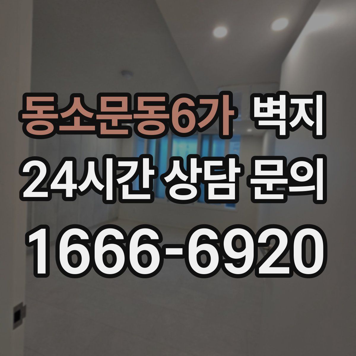동소문동6가 벽지
