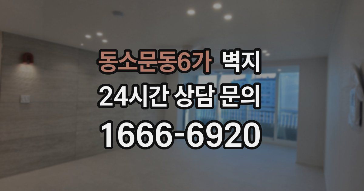동소문동6가 벽지