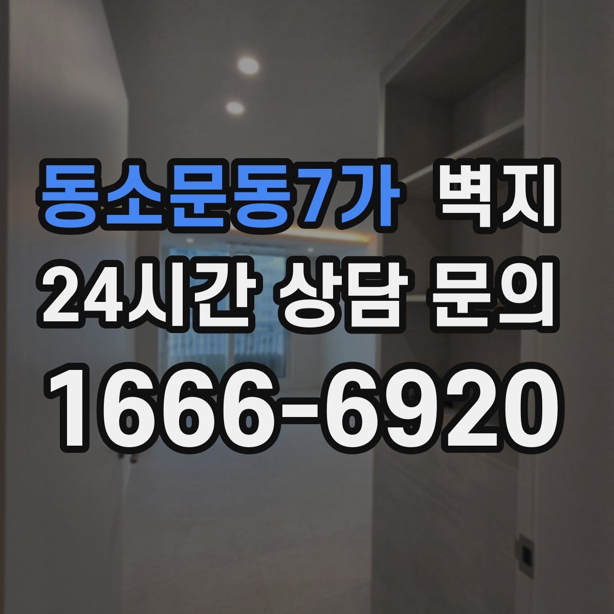 동소문동7가 벽지