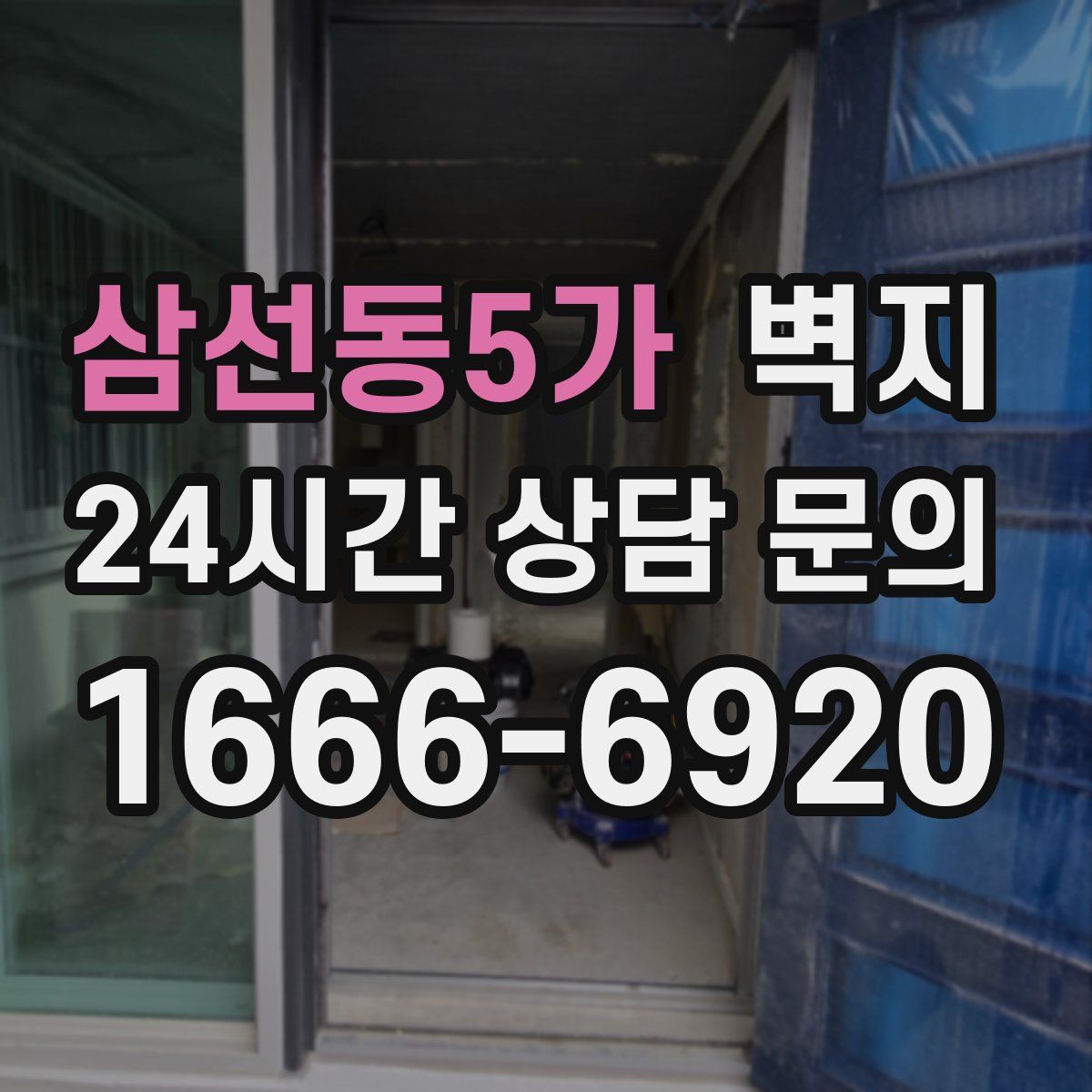 삼선동5가 벽지