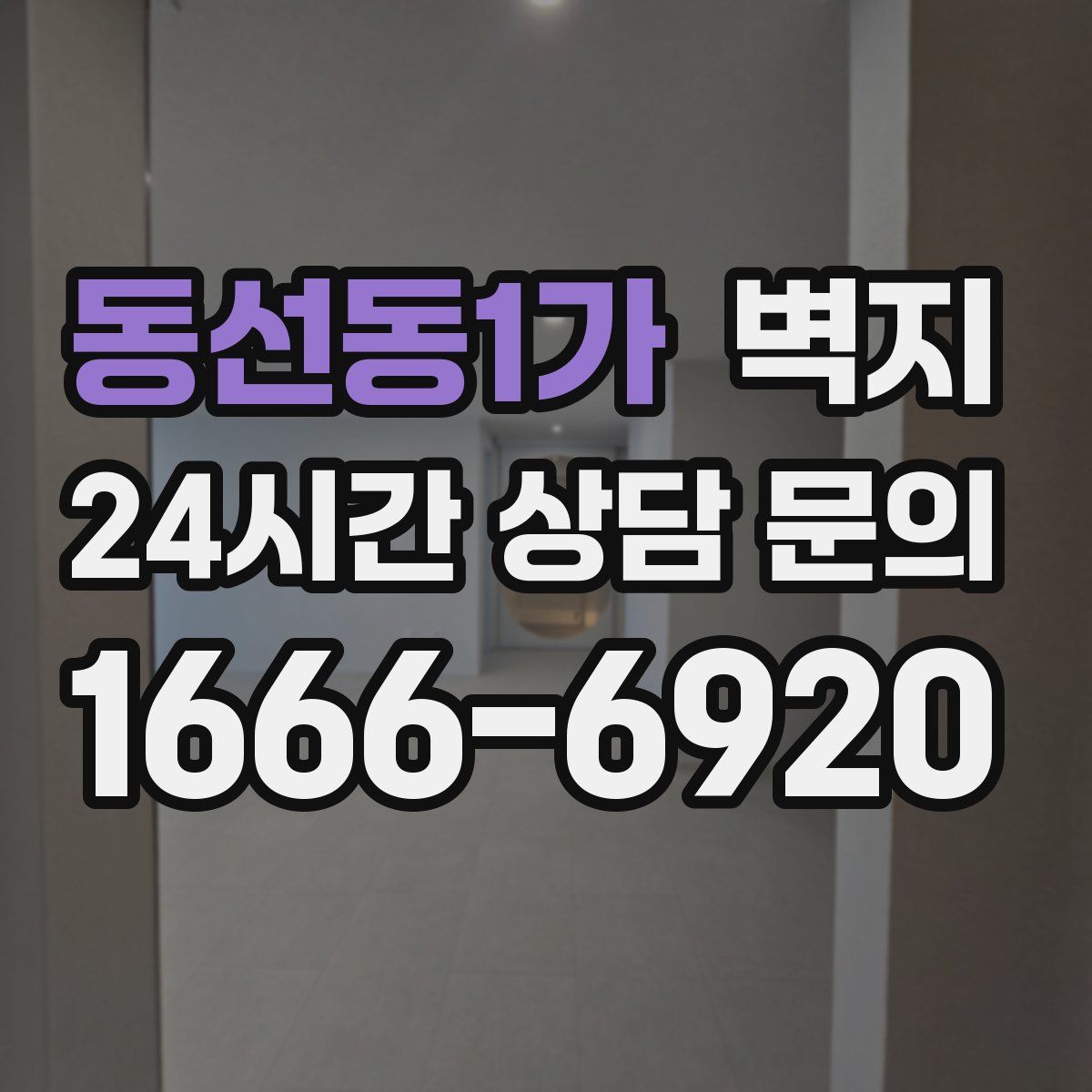 동선동1가 벽지