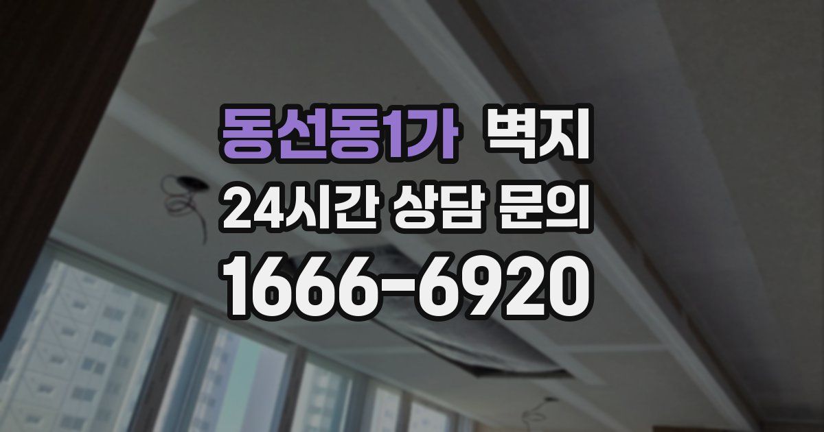 동선동1가 벽지