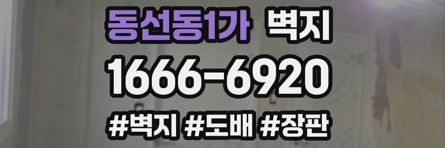 동선동1가 벽지
