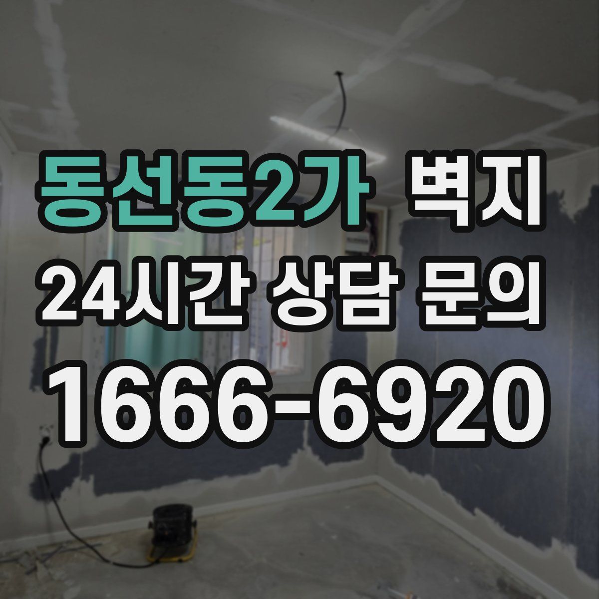 동선동2가 벽지
