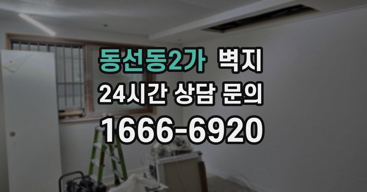 동선동2가 벽지