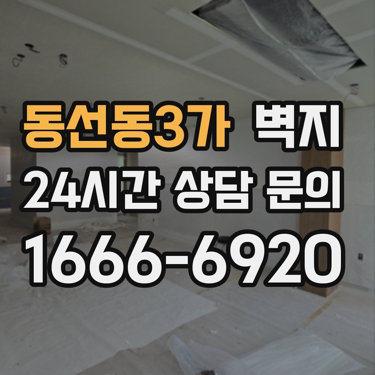동선동3가 벽지