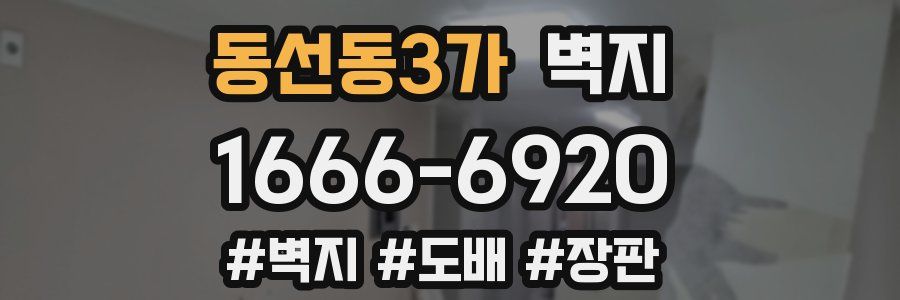 동선동3가 벽지