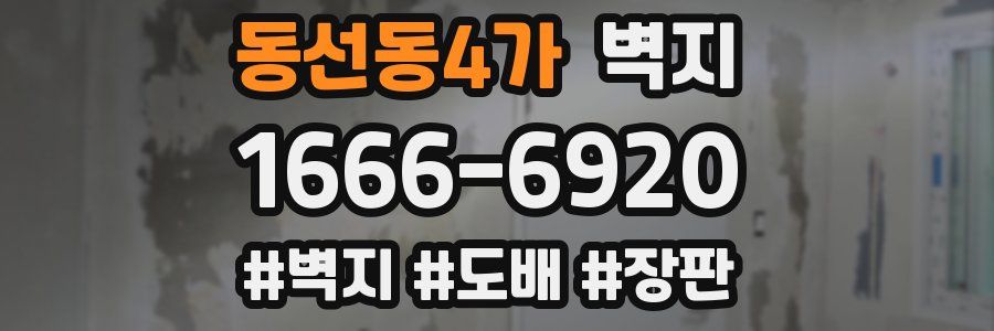 동선동4가 벽지