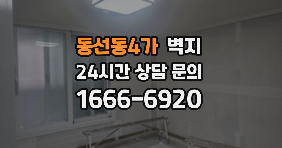 동선동4가 벽지