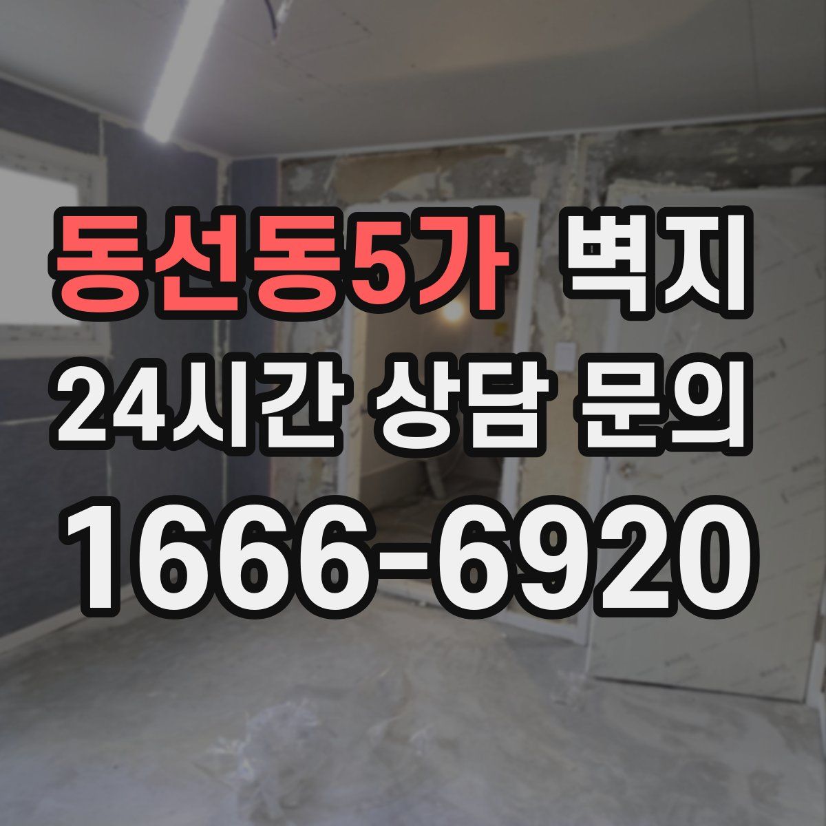 동선동5가 벽지