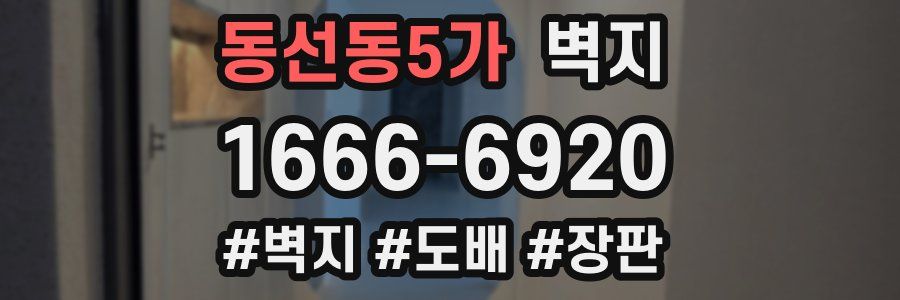 동선동5가 벽지