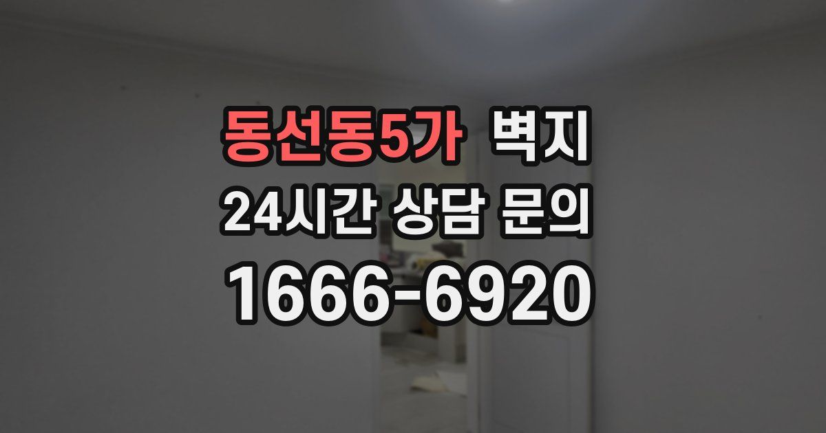 동선동5가 벽지