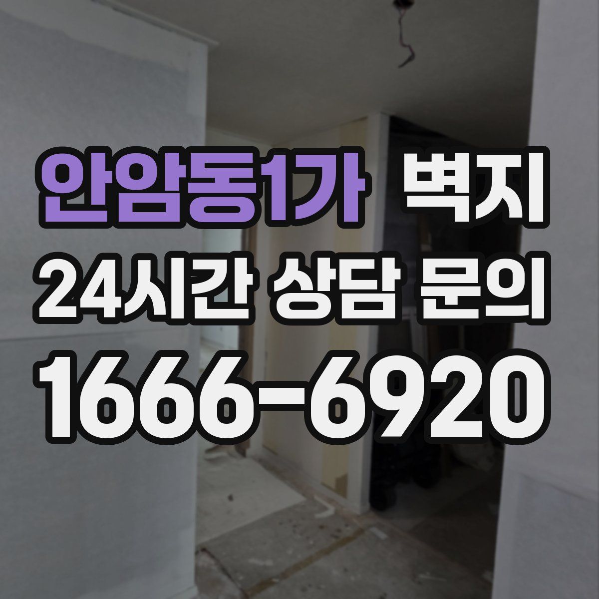 안암동1가 벽지