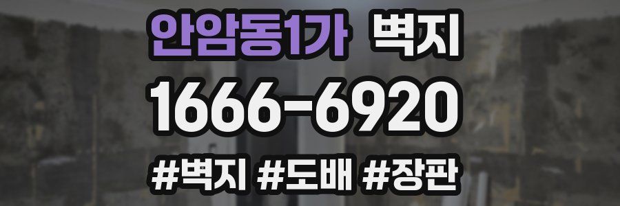 안암동1가 벽지