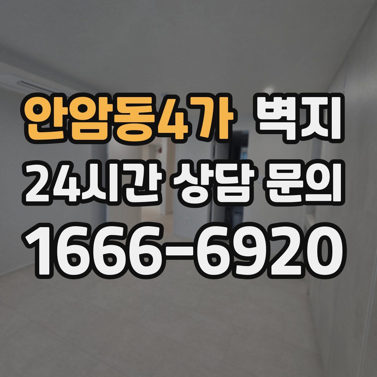 안암동4가 벽지