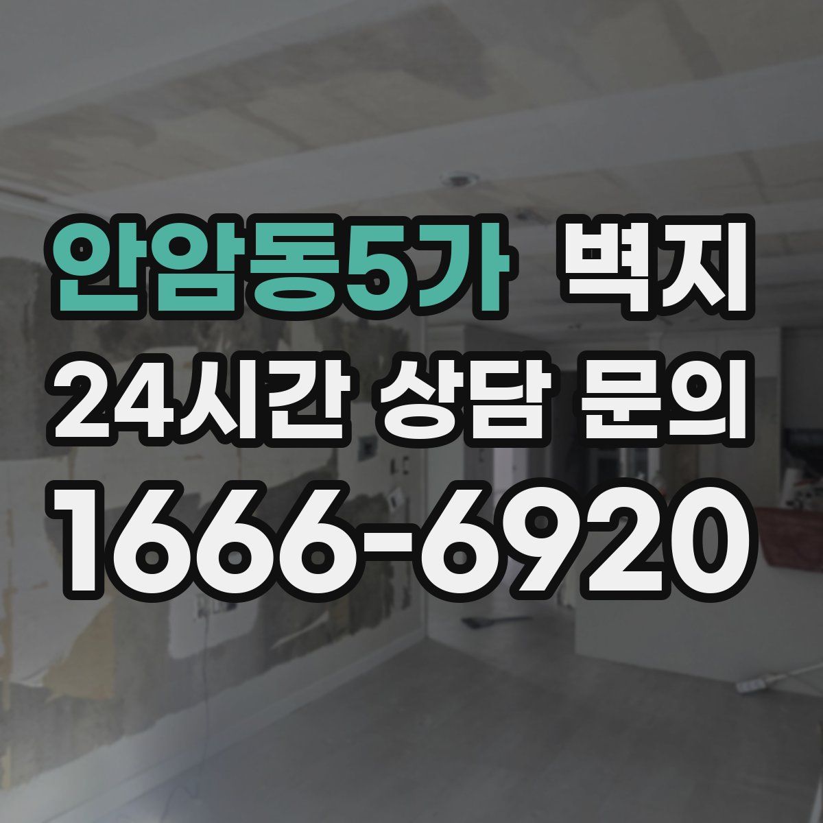 안암동5가 벽지